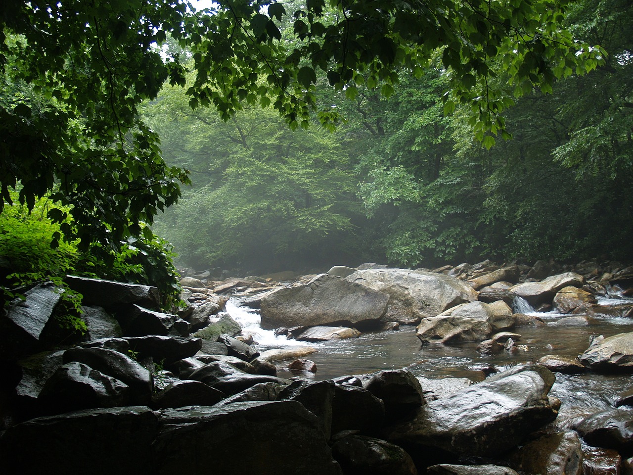 Places in Gatlinburg - The Cabin Rental Store