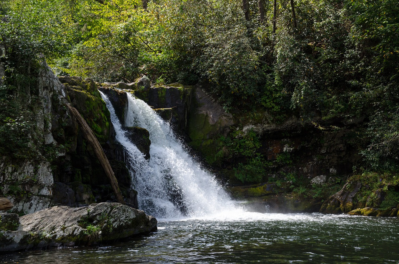 Hit the Trails with a Pigeon Forge Hiking Journey | Cabin Rental Store