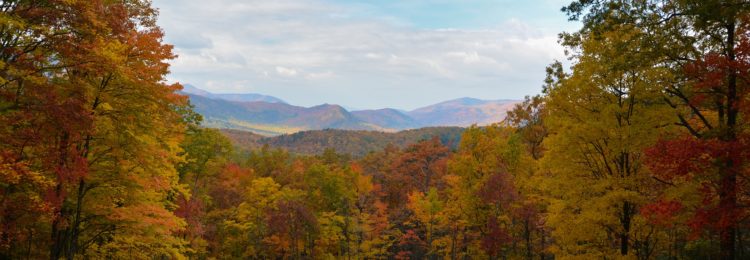 Fall Foliage in the Great Smoky Mountains