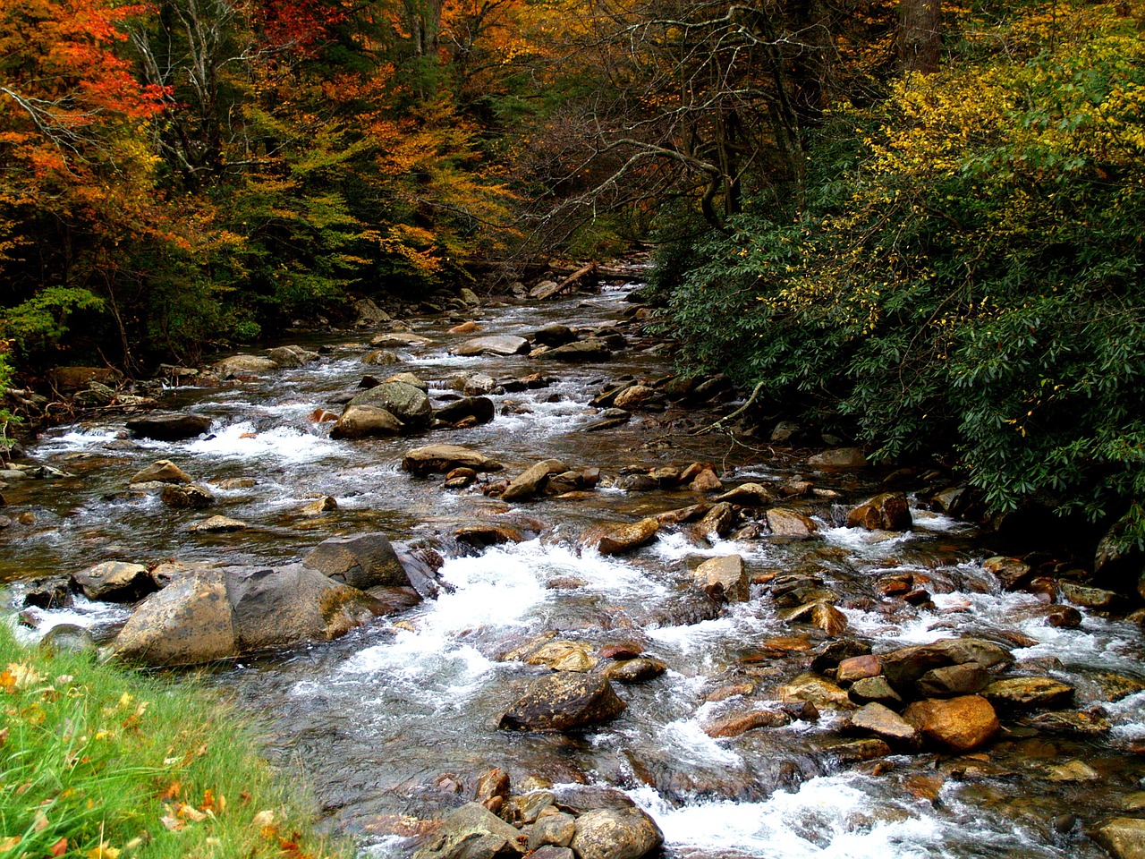A river in the Smokey Mountains