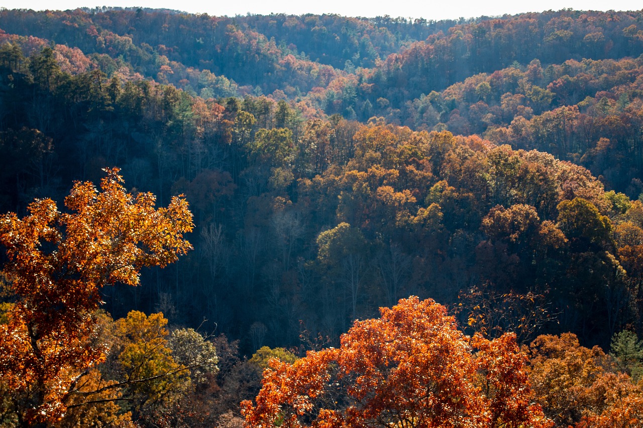 A fall view of the Gatlinburg area